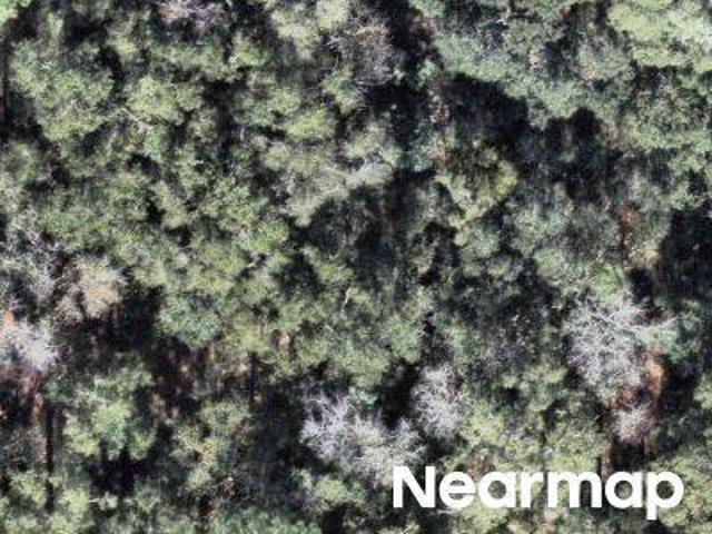 Property for sale in Woodville, Florida