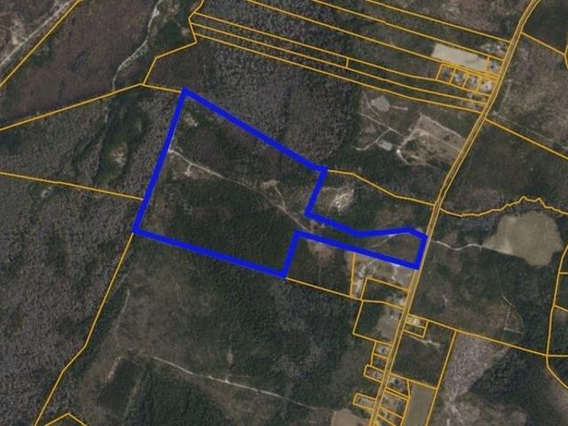 Land for sale in Nichols, South Carolina