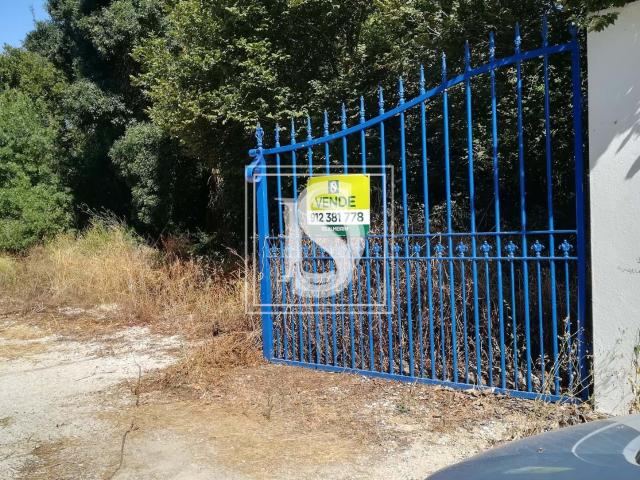 Terreno venda em Santarém