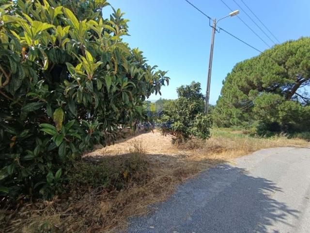 Terreno venda em Caldas Da Rainha, Leiria