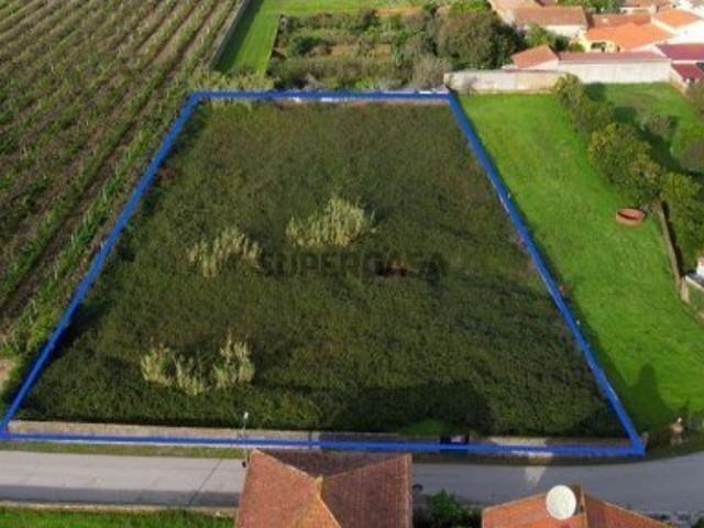 Terreno venda em Anadia, Aveiro