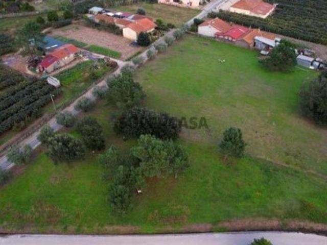 Terreno venda em Couvelha, Anadia