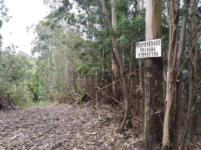 Terreno venda em Monte Branco, Gondomar