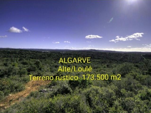 Terreno venda em Loulé, Faro