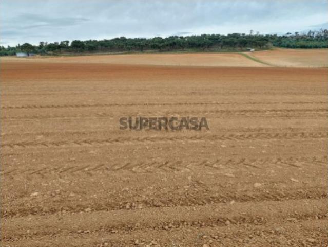 Terreno venda em Fronteira, Portalegre