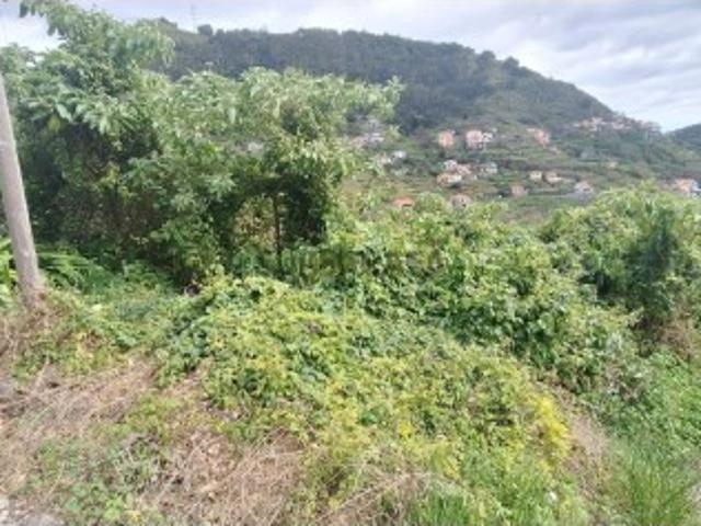 Terreno venda em Ribeira Brava, Ilha Da Madeira