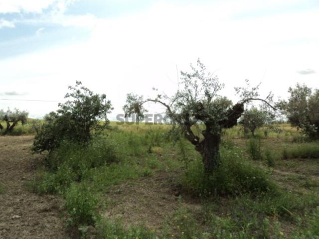 Terreno venda em Reguengos De Monsaraz, Évora