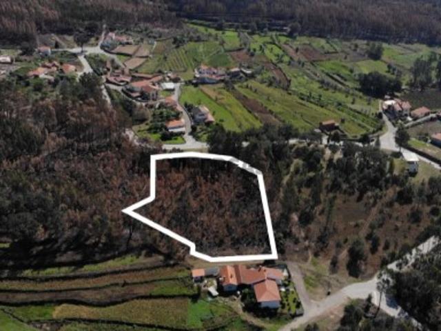 Terreno venda em Sever Do Vouga, Aveiro