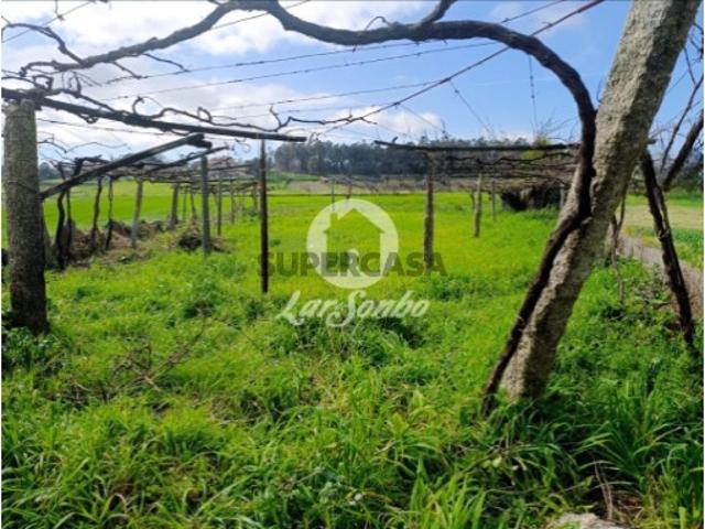Terreno venda em Arcozelo, Braga