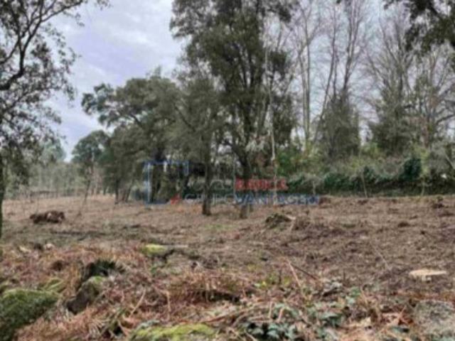 Terreno venda em Vila do Conde, Porto