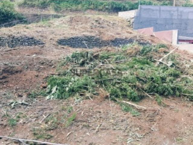 Terreno venda em Santa Cruz, Ilha Da Madeira