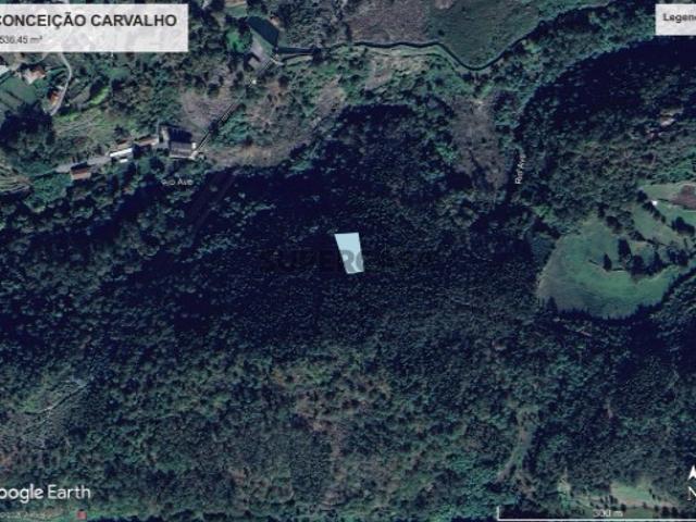 Terreno venda em Esperança e Brunhais, Póvoa de Lanhoso