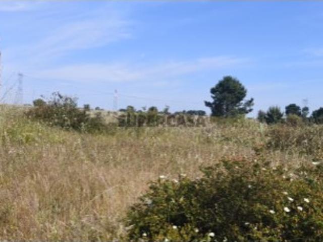Terreno venda em Palmela, Setúbal