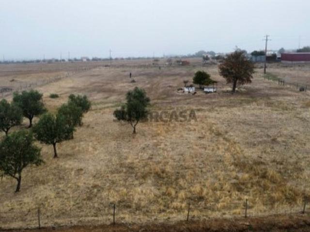 Terreno venda em São Bento do Cortiço e Santo Estêvão, Estremoz