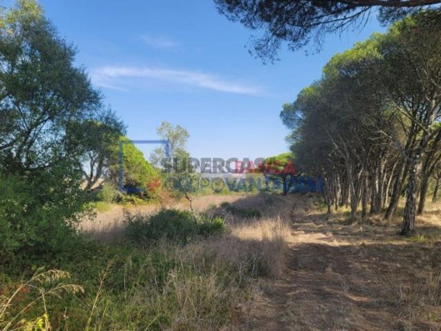 Terreno venda em Bolelas, Sintra