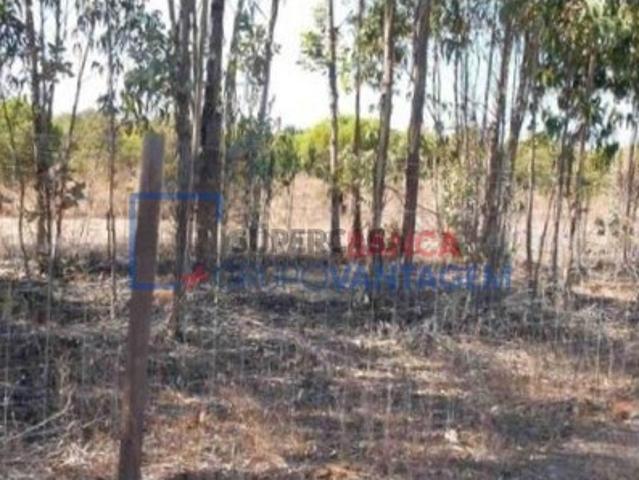 Terreno venda em São Teotónio, Odemira