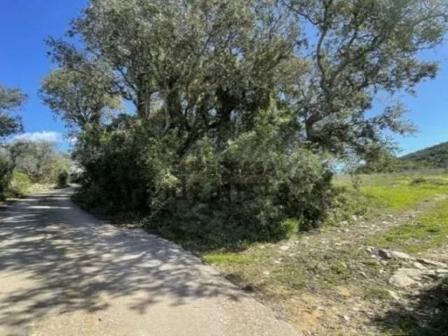 Terreno venda em Faro