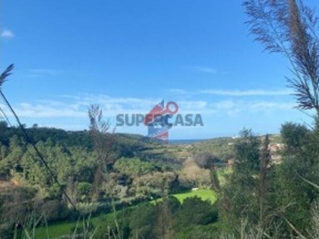 Terreno venda em Santo Isidoro, Mafra