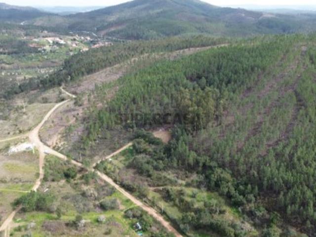 Terreno venda em Castelo Branco