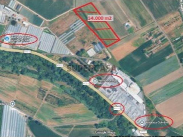 Terreno venda em Coimbra (Sé Nova, Santa Cruz, Almedina e São Bartolomeu), Coimbra