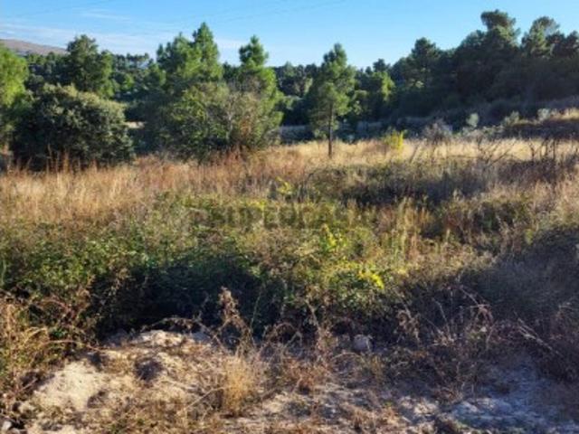 Terreno venda em Viseu