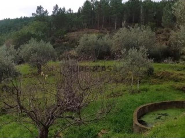Terreno venda em Castelo Branco, Aldeia Nova Do Cabo