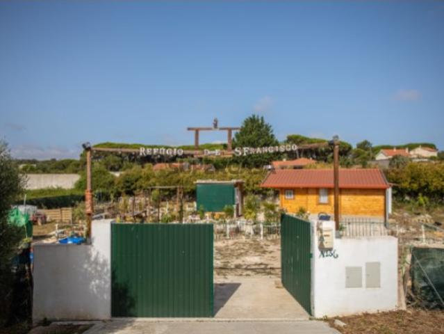 Terreno venda em Sintra, Lisboa