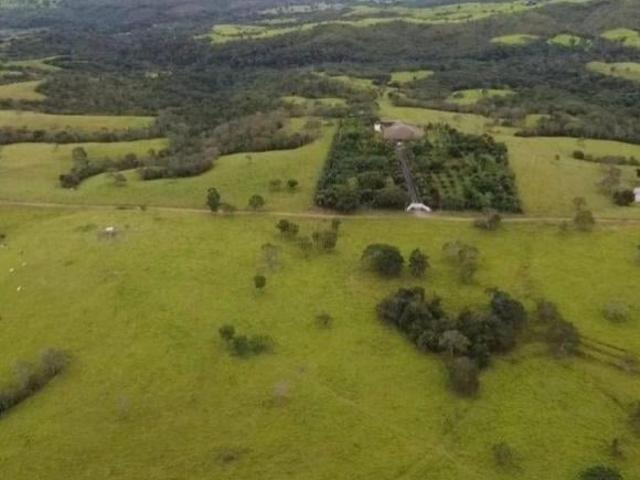 Sítio e chácara venda em Região Geográfica Imediata do Distrito Federal, Região Integrada de Desenvolvimento do Distrito Federal e Entorno