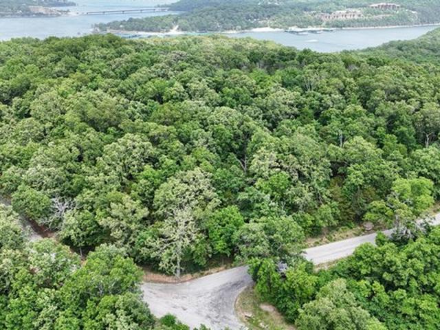 Land for sale in Stone, Missouri