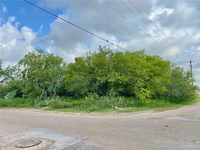 Land for sale in Hidalgo, Texas