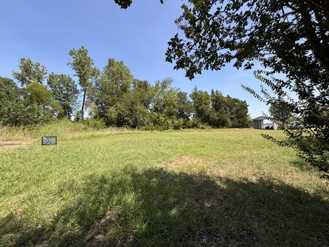 Land for sale in Fannin, Texas