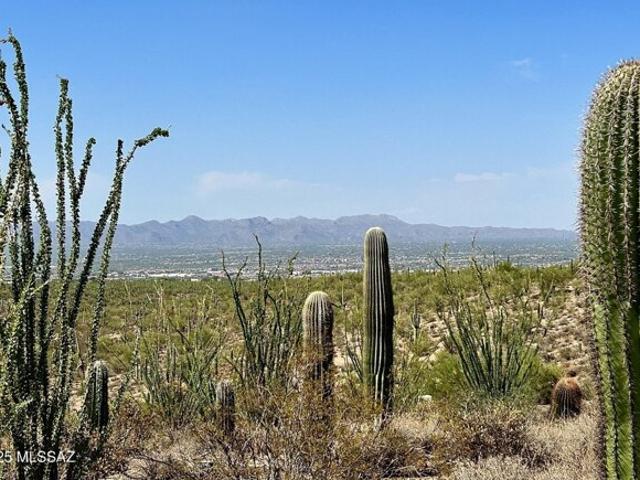Land for sale in Arizona