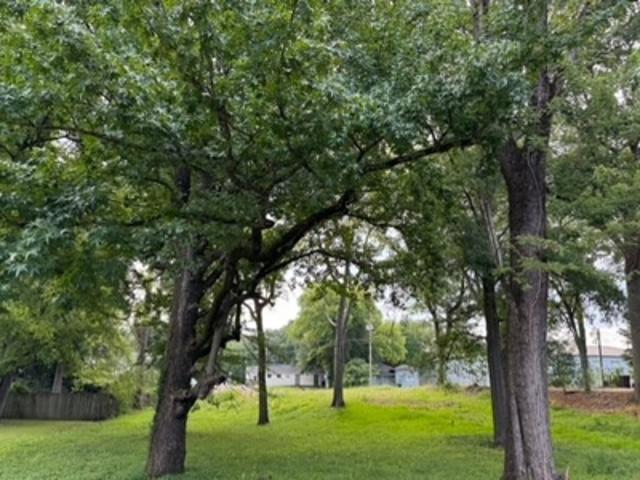 Land for sale in Belden, Mississippi