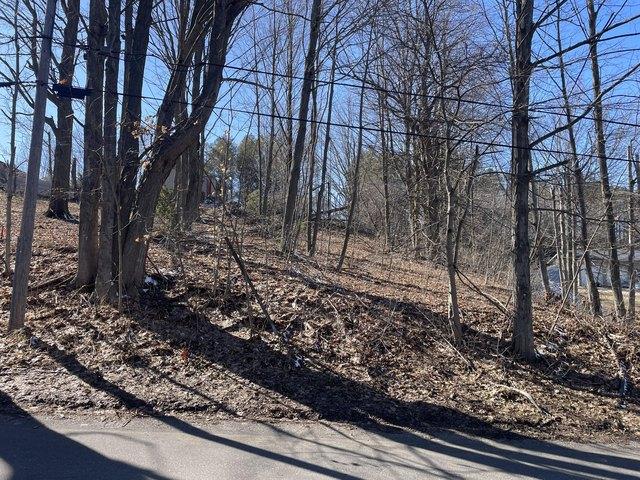 Land for sale in Shelby, Michigan