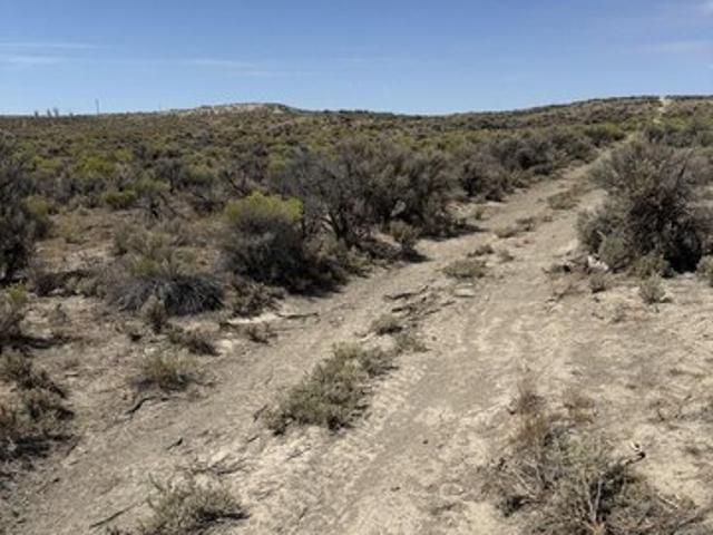 Land for sale in Elko, Nevada