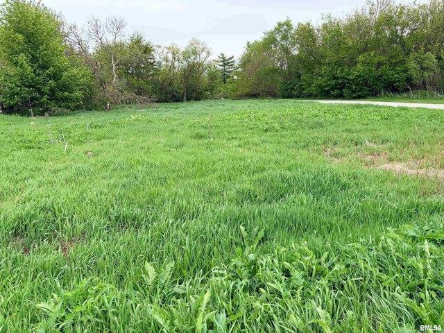 Land for sale in Edwards, Illinois