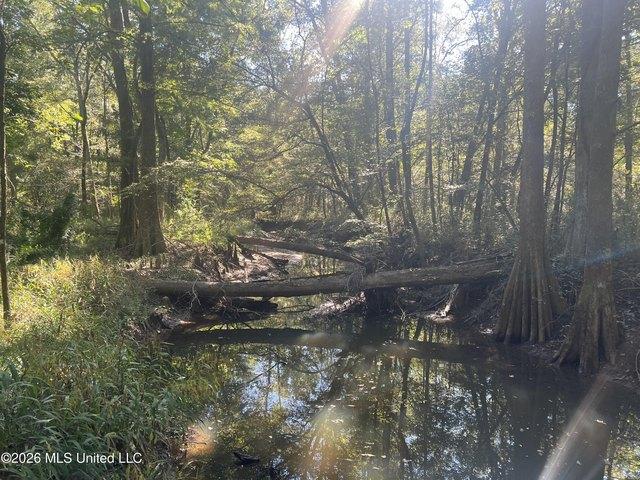 Land for sale in Mississippi