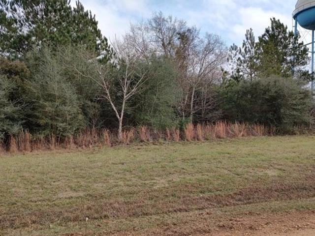 Land for sale in Lumberton, Mississippi