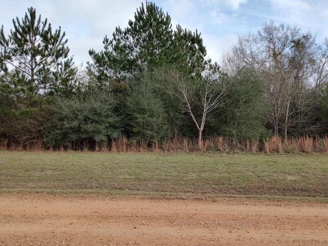Land for sale in Lumberton, Mississippi