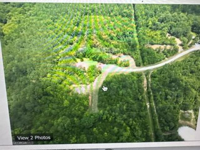 Land for sale in Hogansville, Georgia