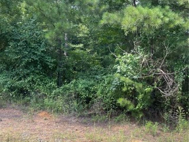 Land for sale in Northport, Tuscaloosa County