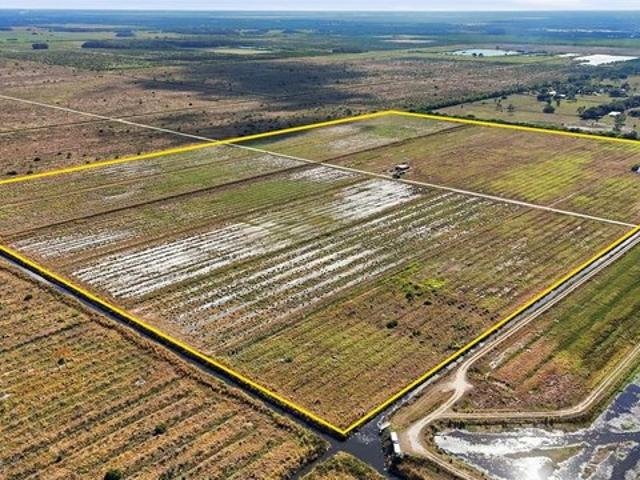 Land for sale in Alva, Florida