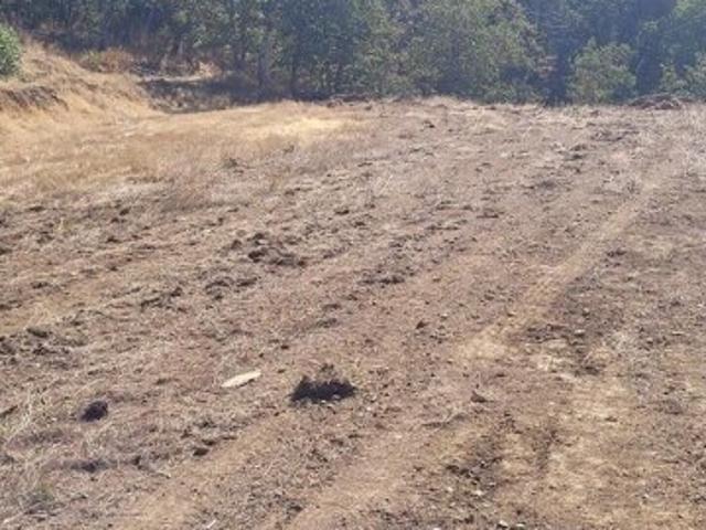 Land for sale in Oregonia