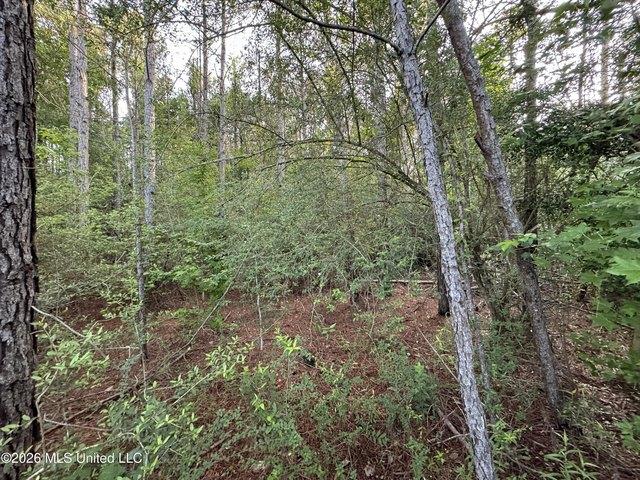 Land for sale in Summit, Mississippi