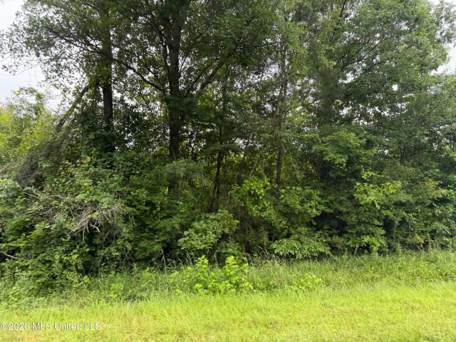 Land for sale in Summit, Mississippi