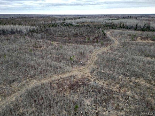 Land for sale in Rock, Michigan