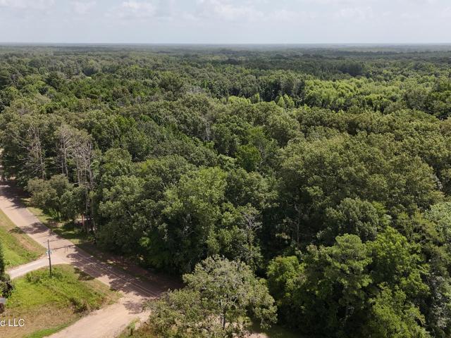 Land for sale in Lena, Rankin County