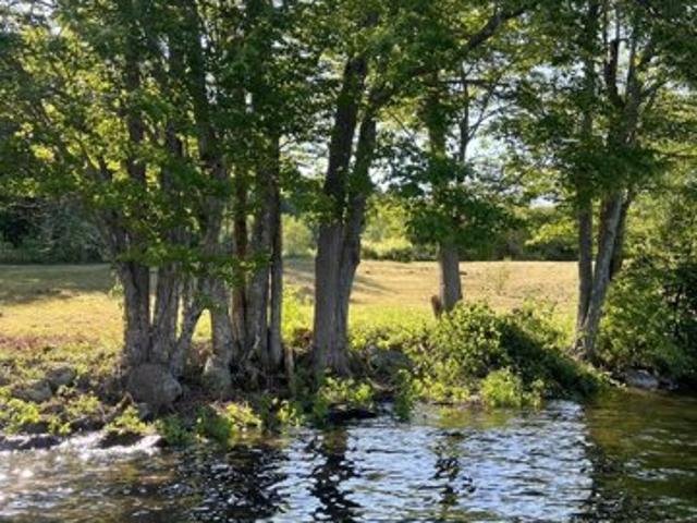 Land for sale in Waldo, Maine