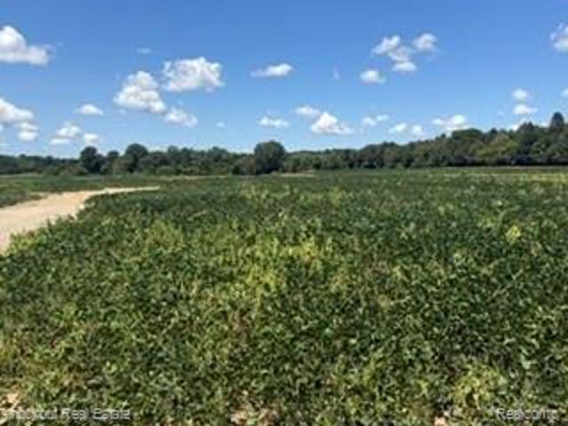 Land for sale in Flushing, Michigan