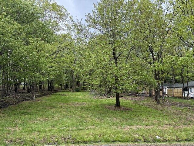 Land for sale in Albrightsville